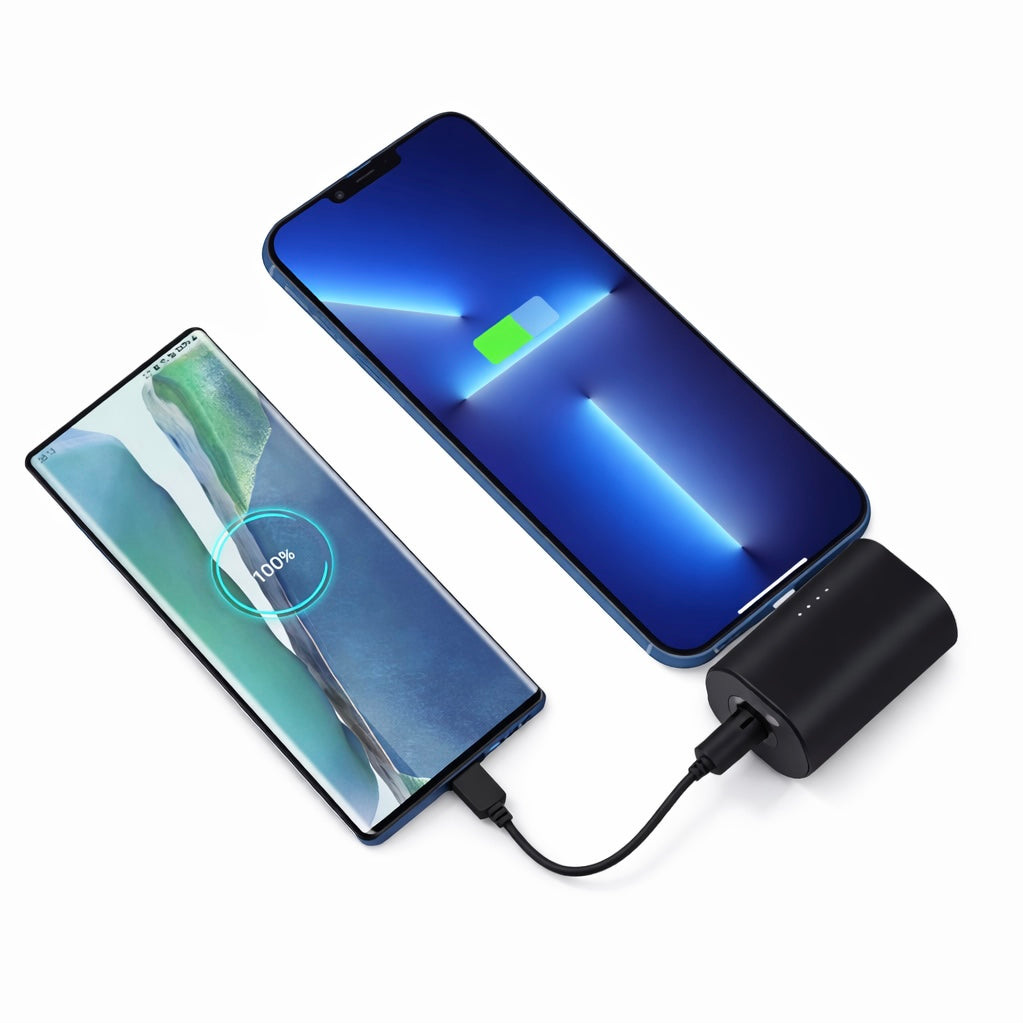 Batterie externe Plug&Play 20.000mAh